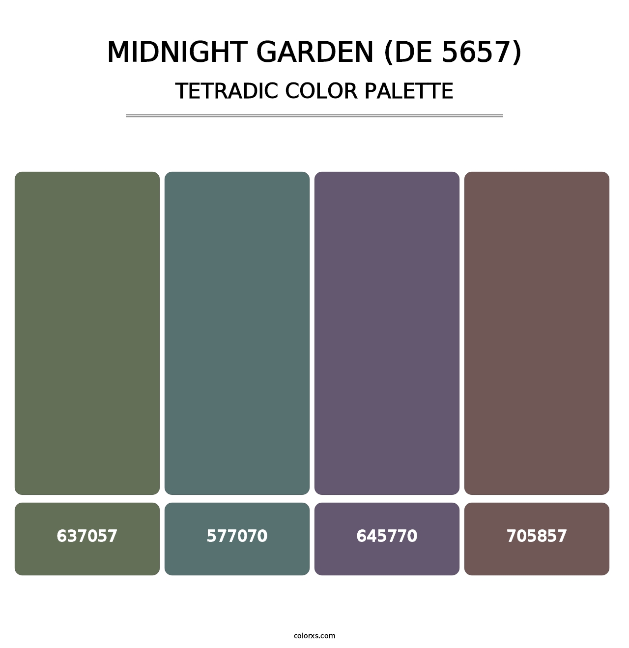 Midnight Garden (DE 5657) - Tetradic Color Palette