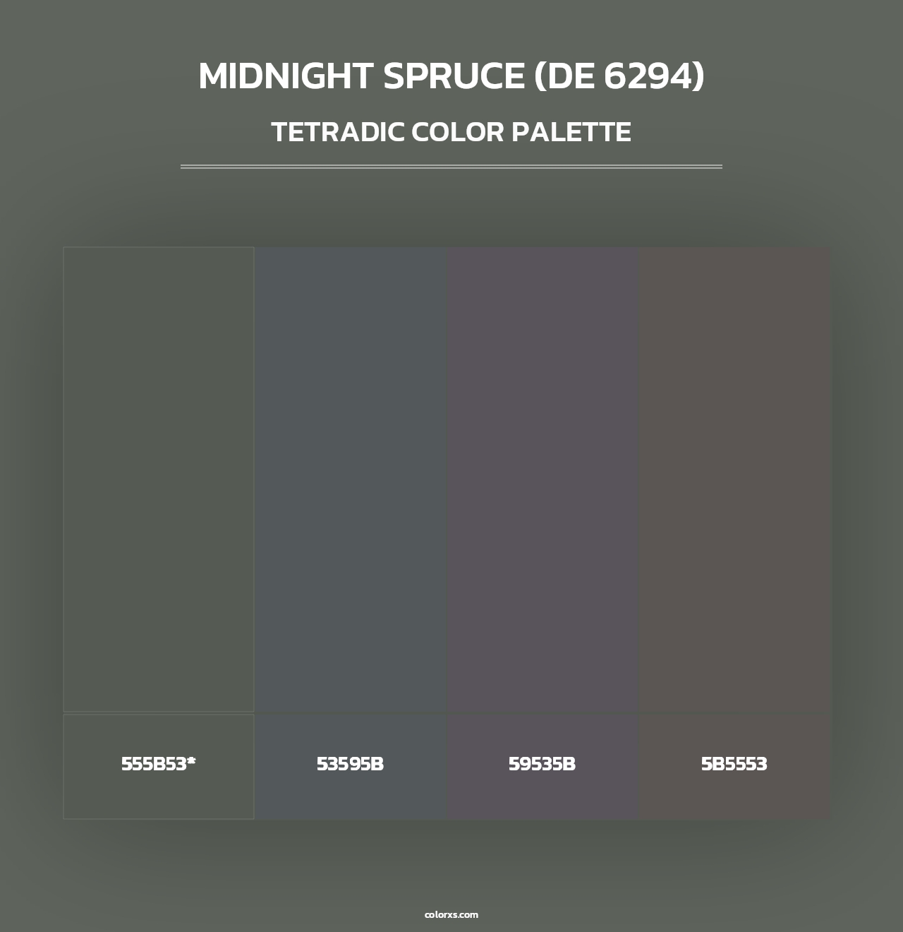 Midnight Spruce (DE 6294) - Tetradic Color Palette