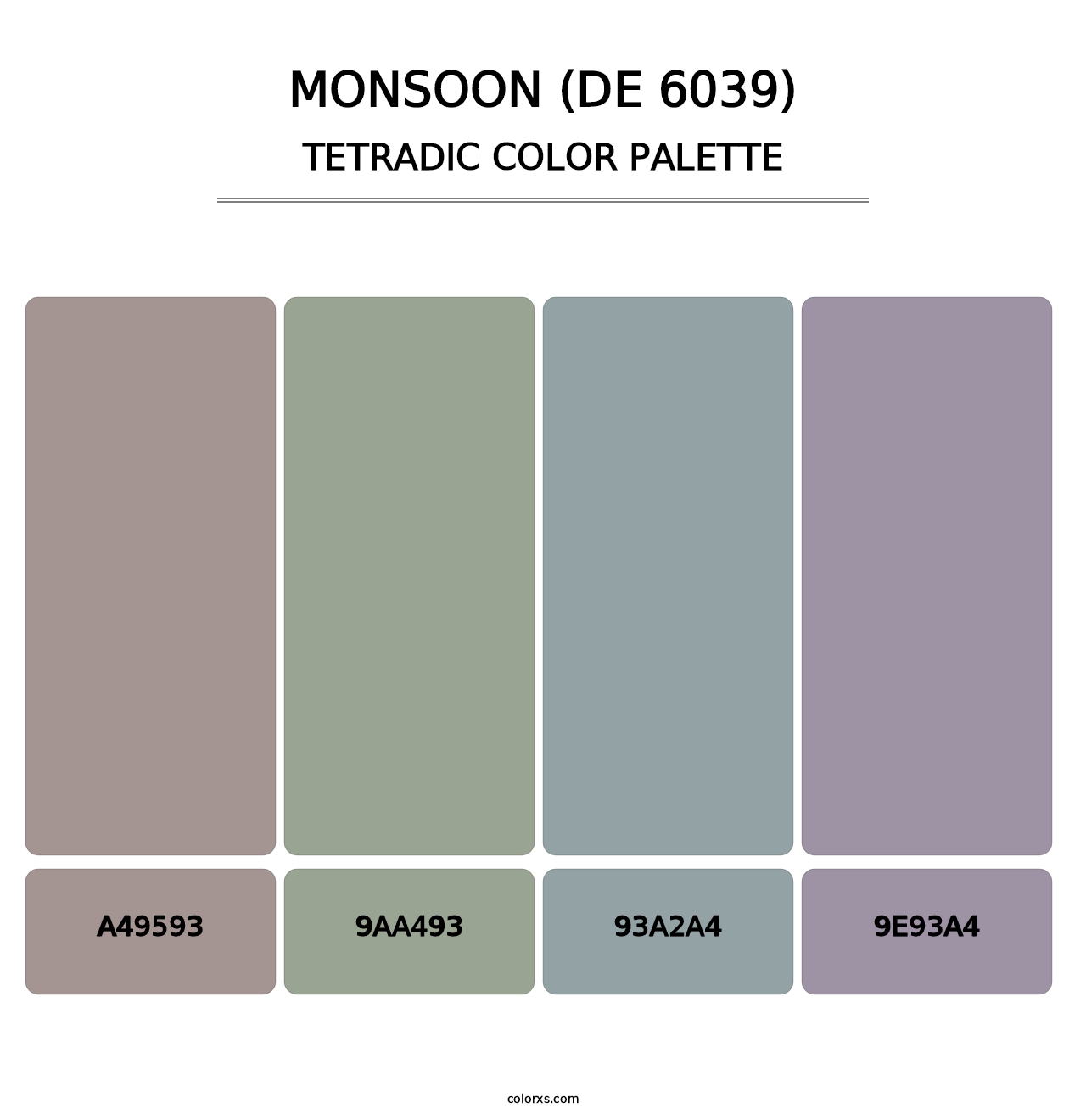 Monsoon (DE 6039) - Tetradic Color Palette