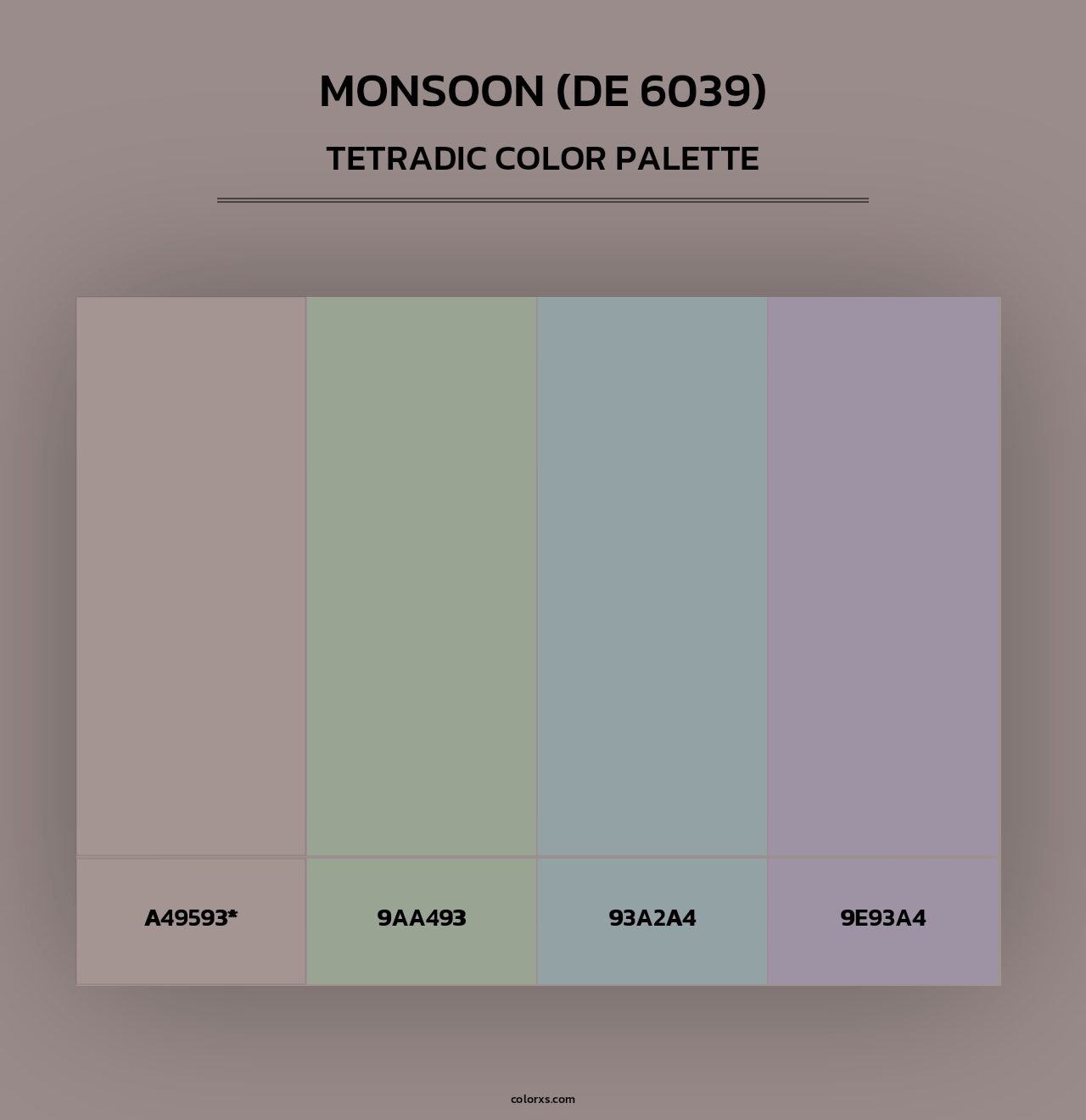 Monsoon (DE 6039) - Tetradic Color Palette