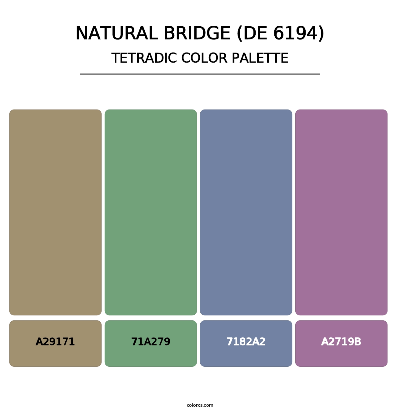 Natural Bridge (DE 6194) - Tetradic Color Palette