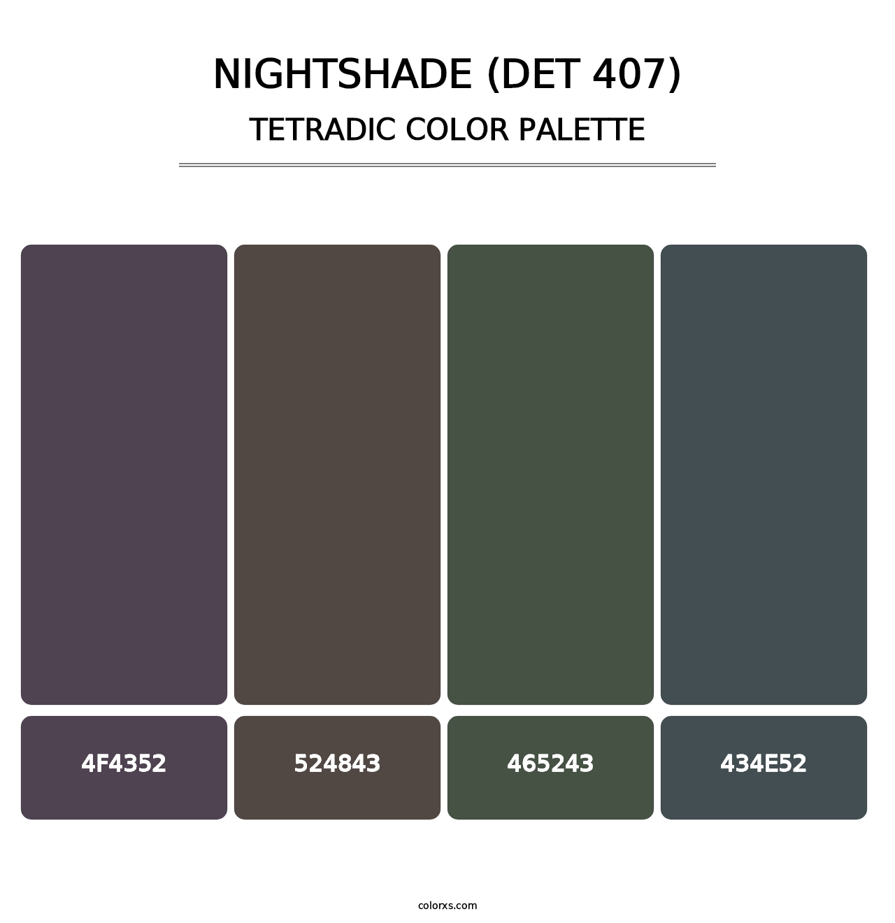 Nightshade (DET 407) - Tetradic Color Palette
