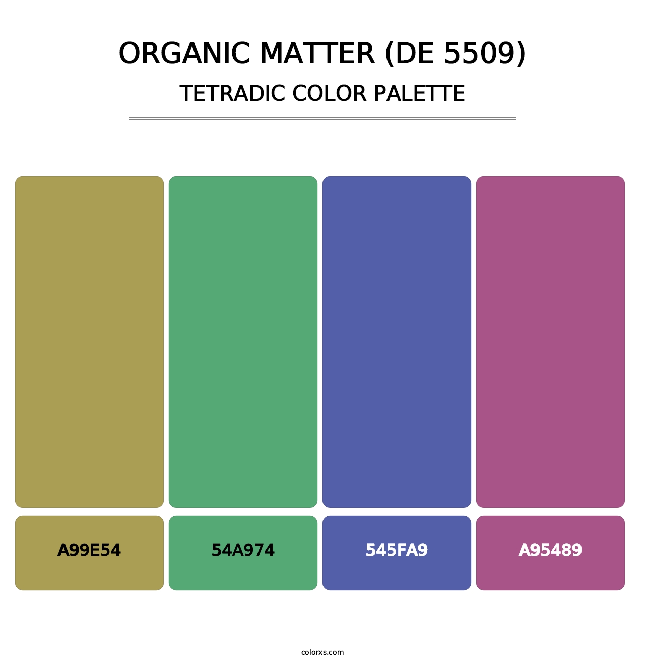 Organic Matter (DE 5509) - Tetradic Color Palette