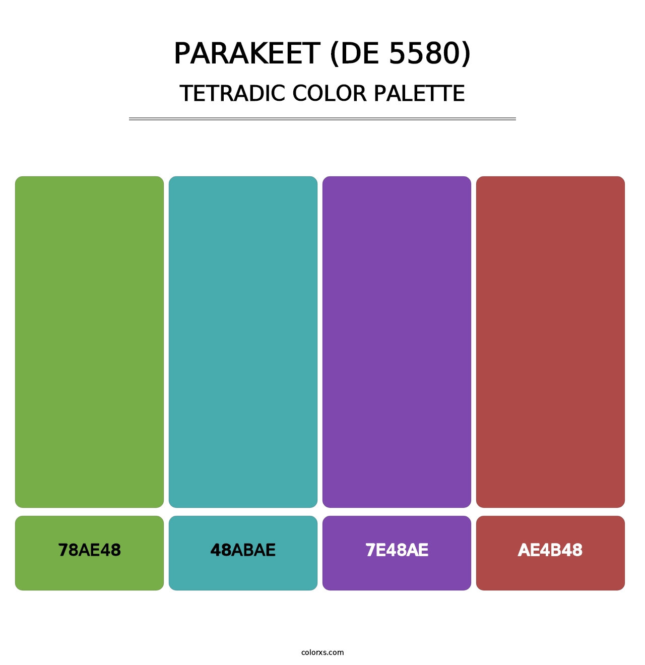 Parakeet (DE 5580) - Tetradic Color Palette