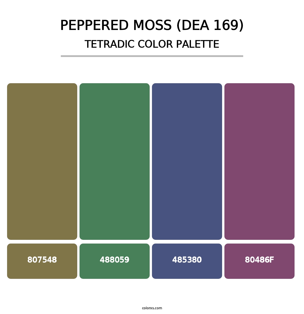 Peppered Moss (DEA 169) - Tetradic Color Palette