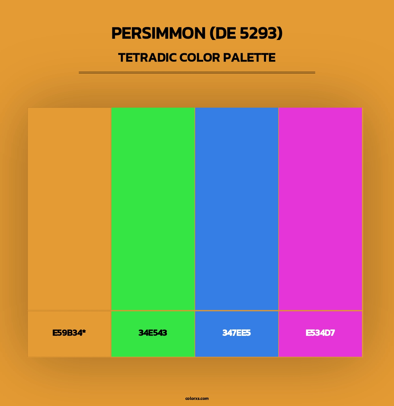 Persimmon (DE 5293) - Tetradic Color Palette