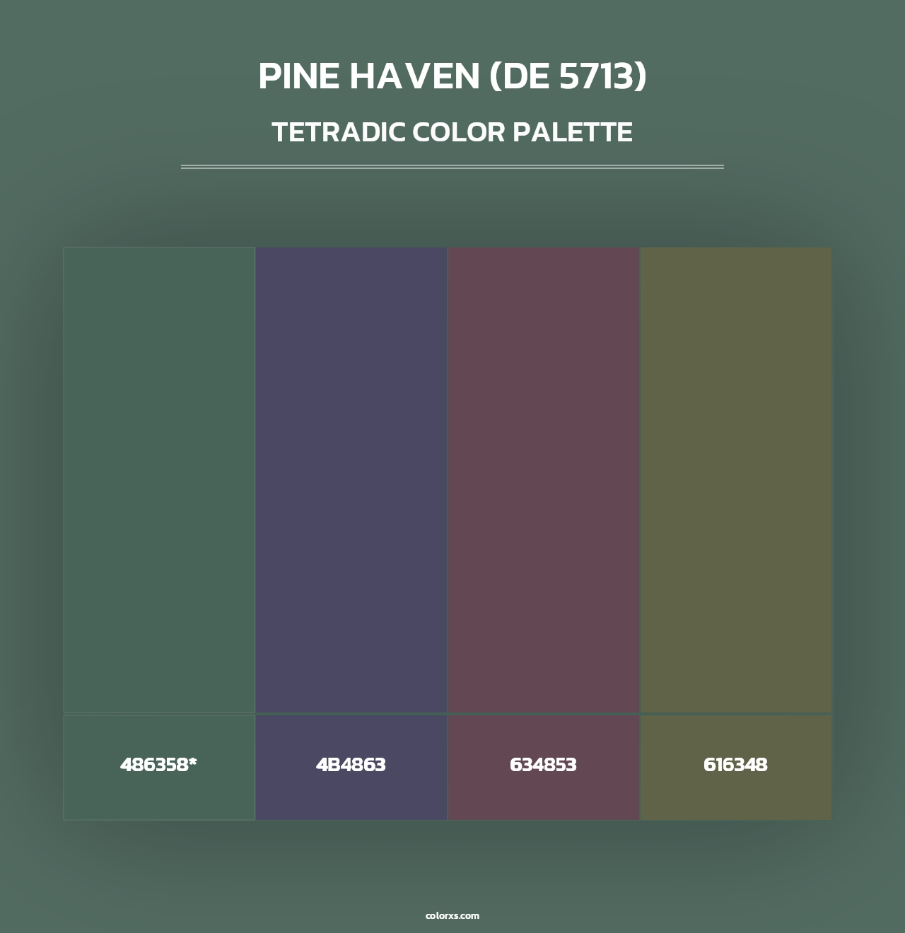Pine Haven (DE 5713) - Tetradic Color Palette