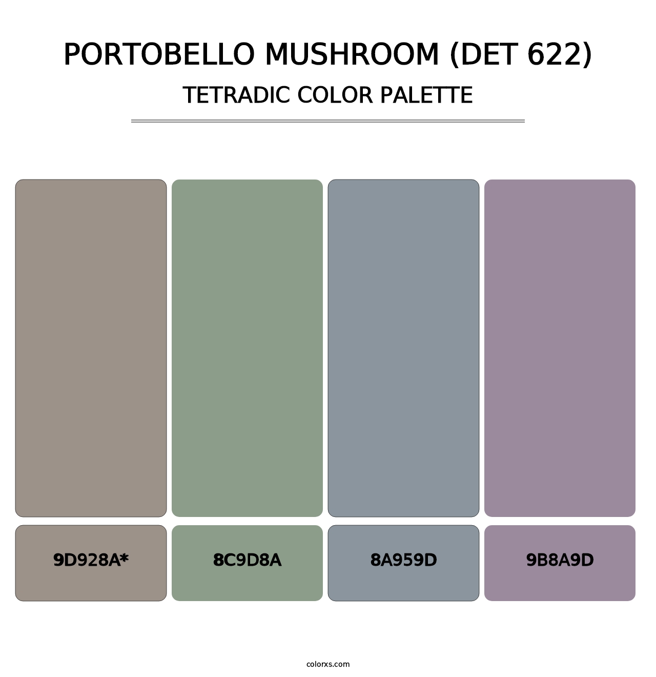 Portobello Mushroom (DET 622) - Tetradic Color Palette