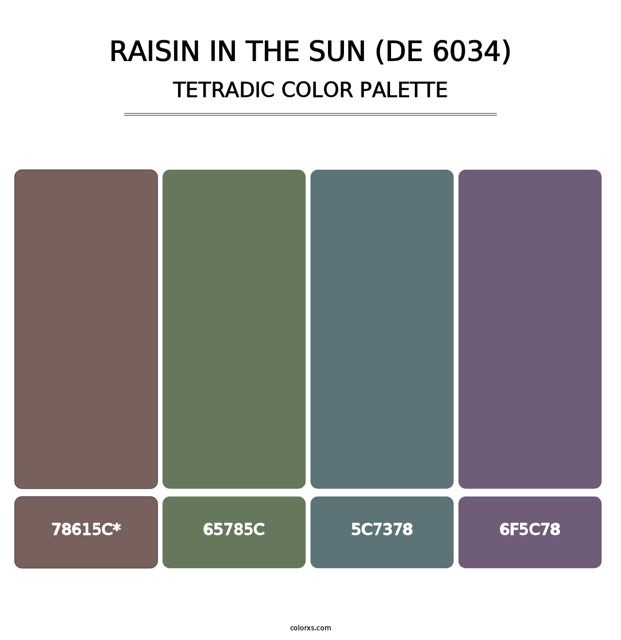 Raisin in the Sun (DE 6034) - Tetradic Color Palette