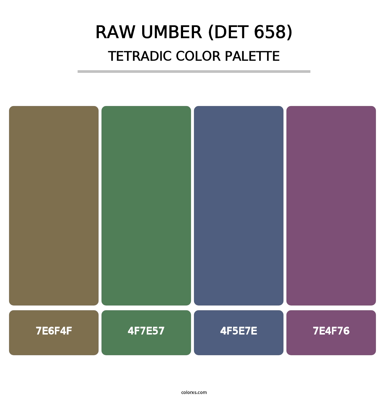Raw Umber (DET 658) - Tetradic Color Palette