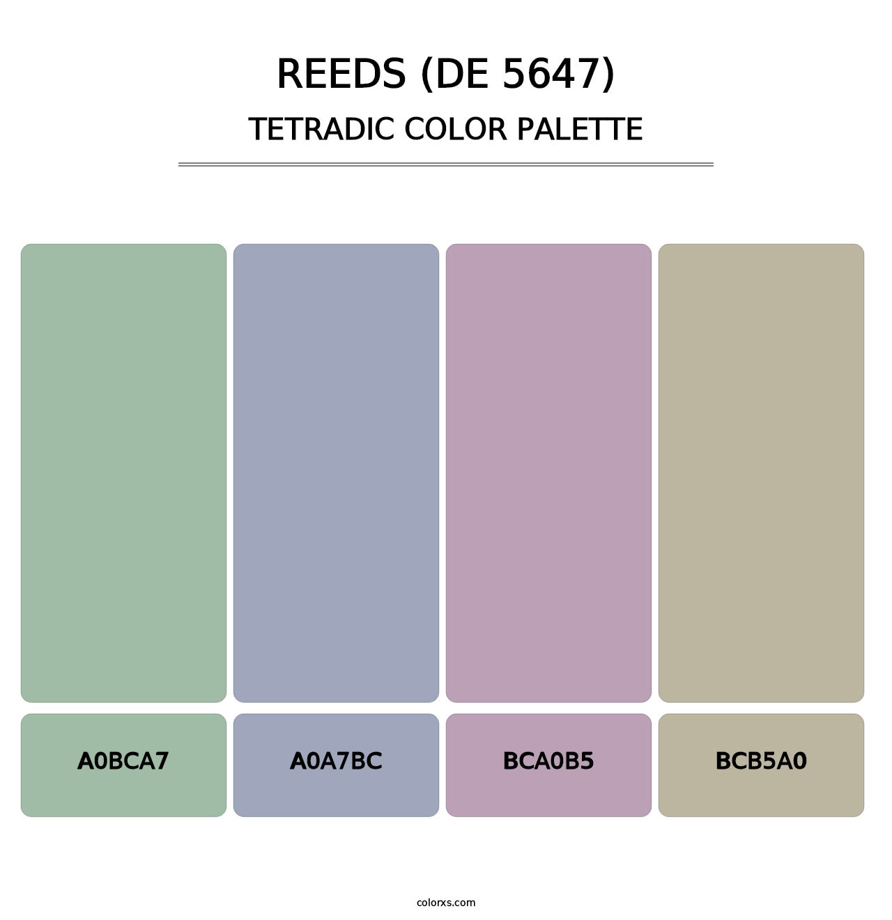 Reeds (DE 5647) - Tetradic Color Palette