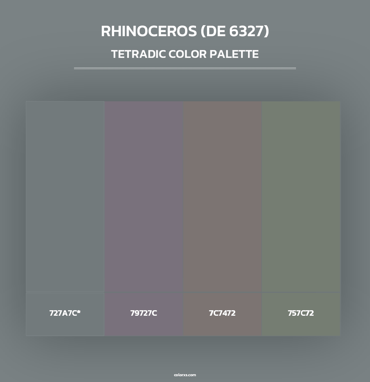 Rhinoceros (DE 6327) - Tetradic Color Palette