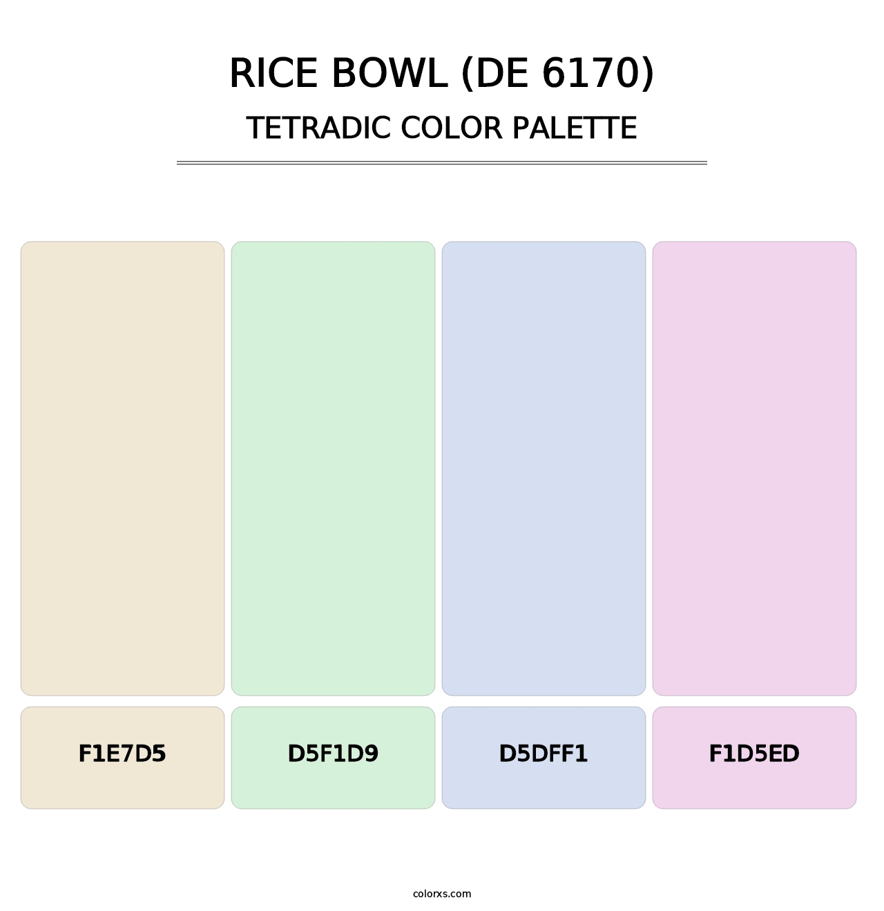 Rice Bowl (DE 6170) - Tetradic Color Palette