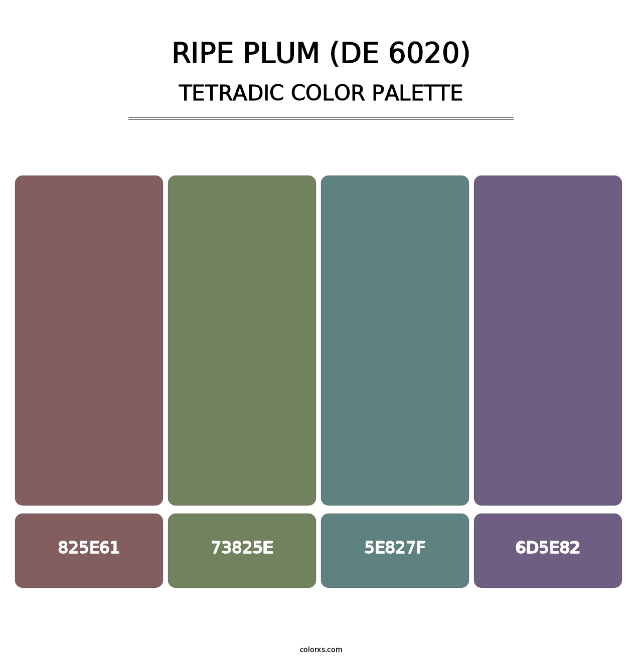 Ripe Plum (DE 6020) - Tetradic Color Palette
