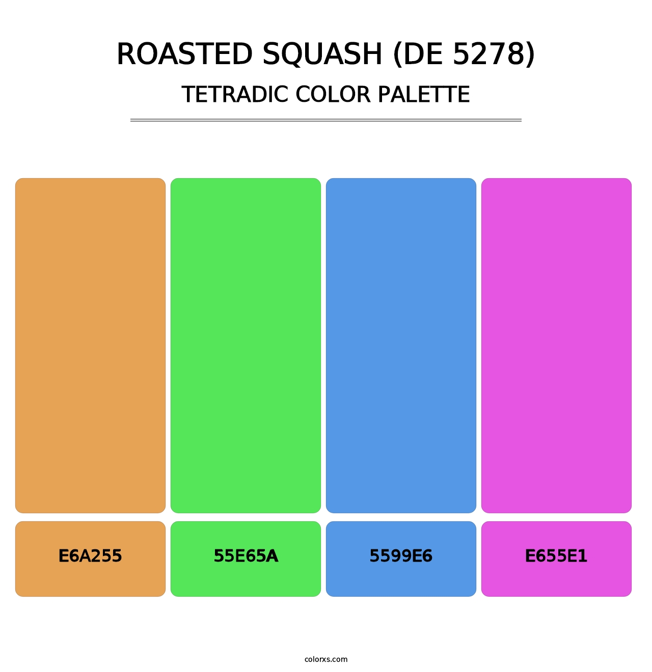 Roasted Squash (DE 5278) - Tetradic Color Palette