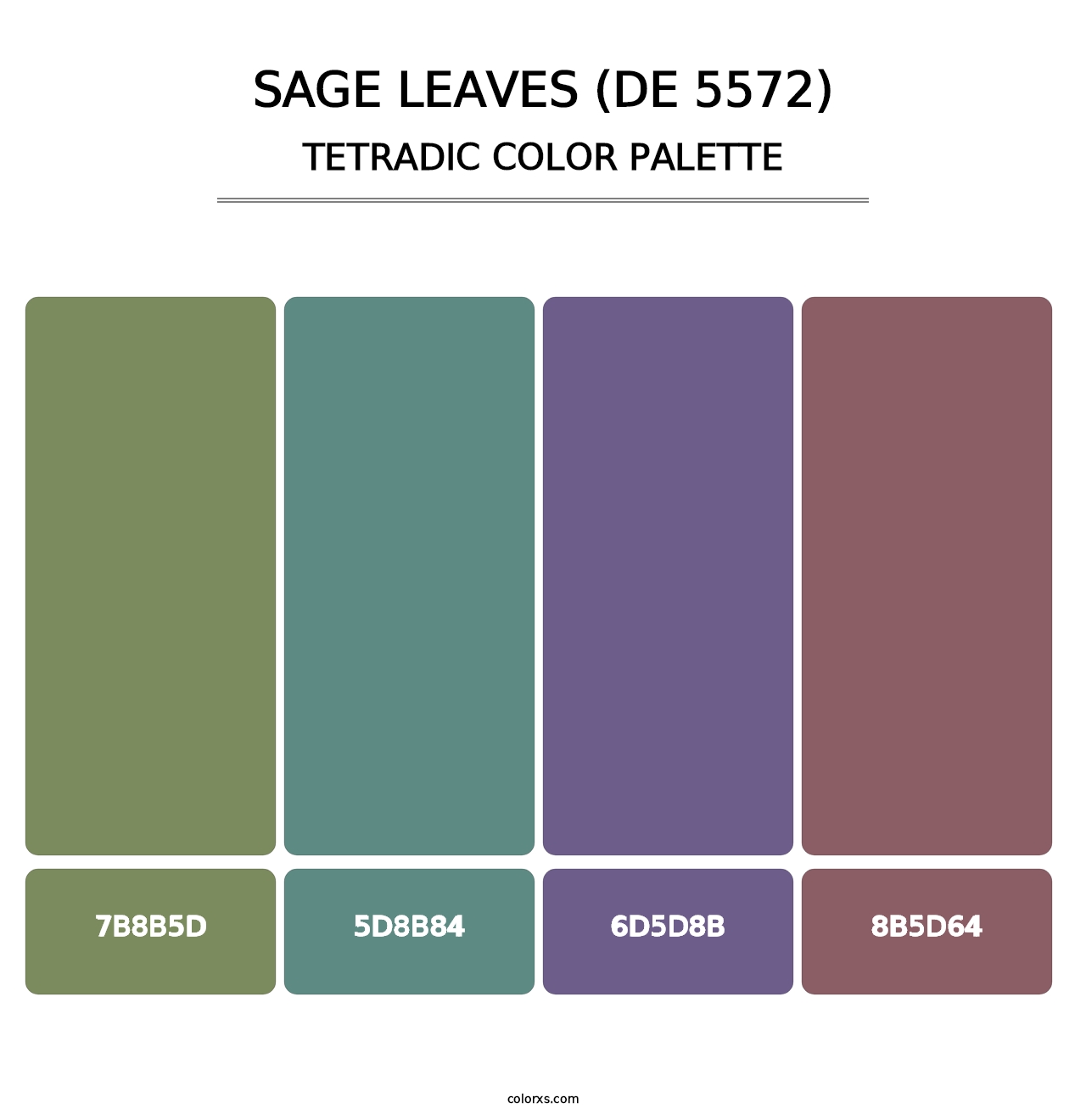 Sage Leaves (DE 5572) - Tetradic Color Palette