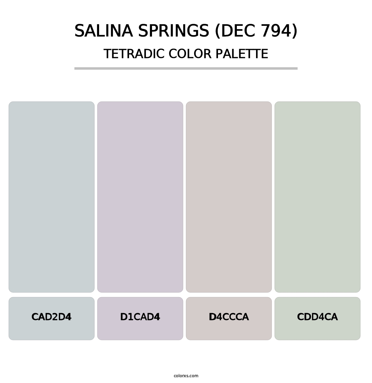 Salina Springs (DEC 794) - Tetradic Color Palette