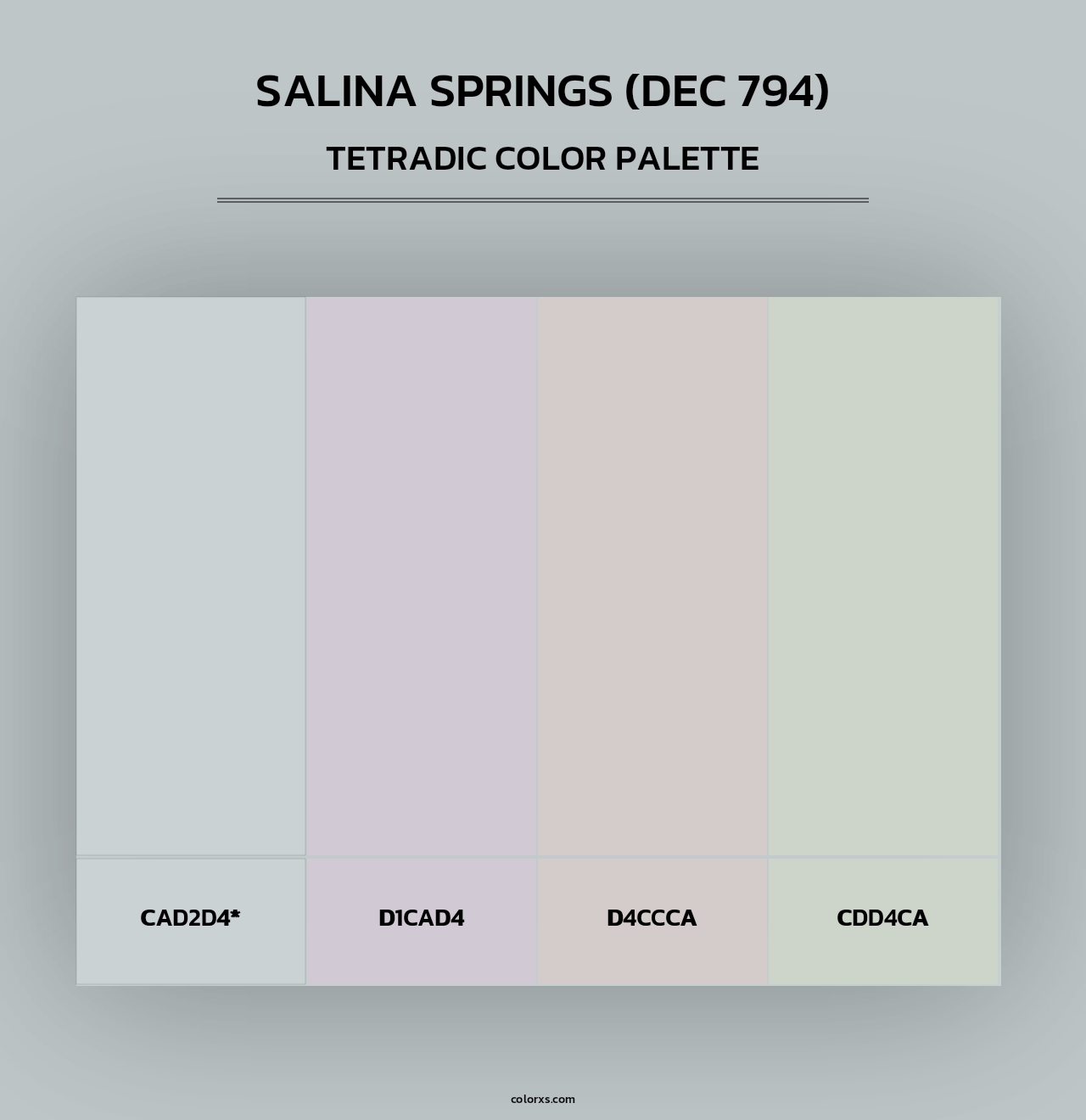 Salina Springs (DEC 794) - Tetradic Color Palette