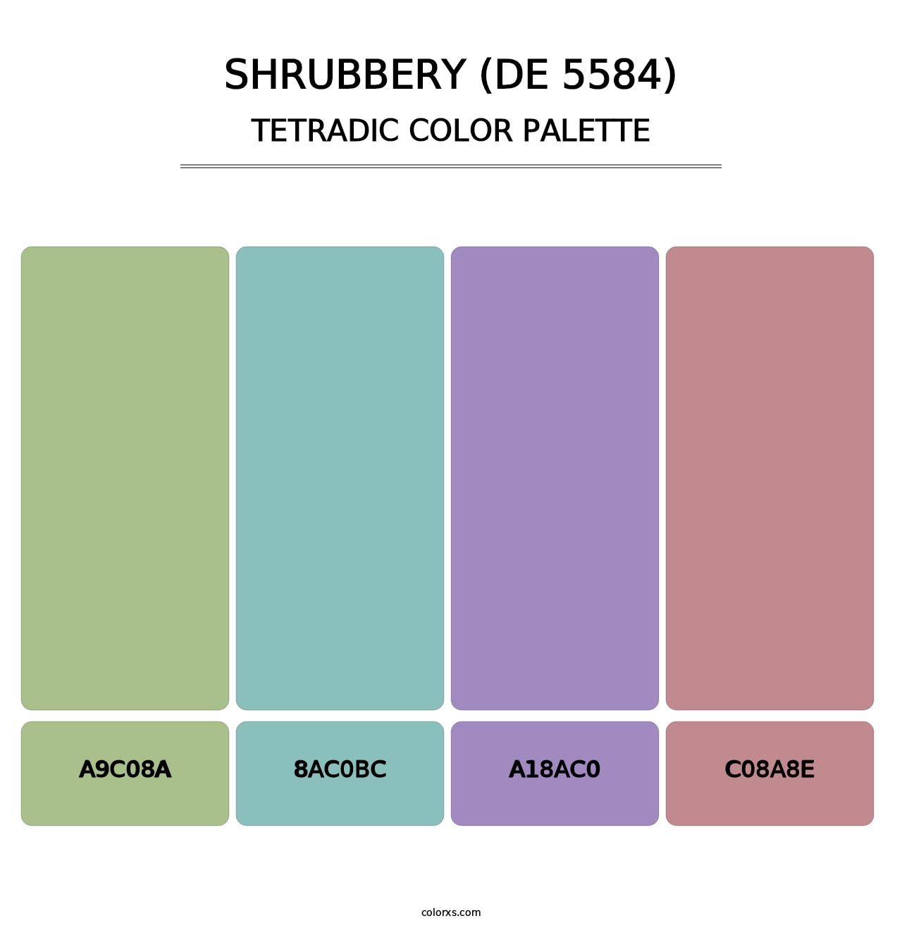 Shrubbery (DE 5584) - Tetradic Color Palette