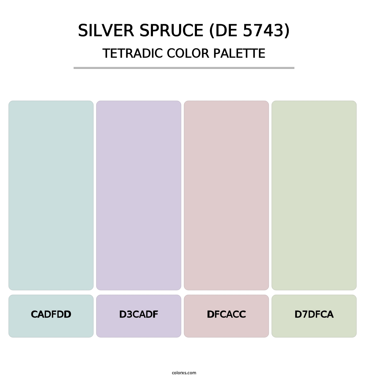 Silver Spruce (DE 5743) - Tetradic Color Palette