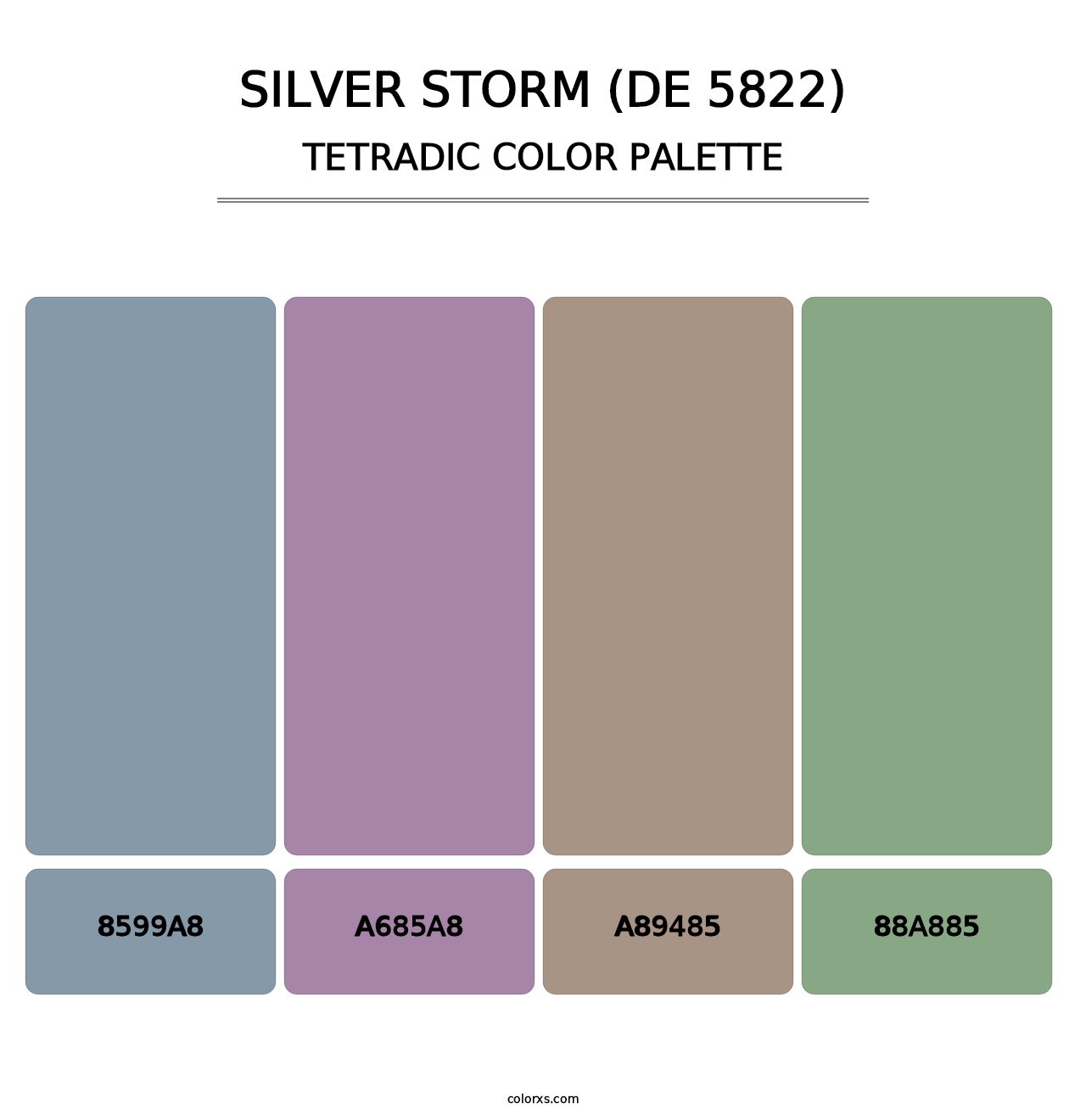 Silver Storm (DE 5822) - Tetradic Color Palette