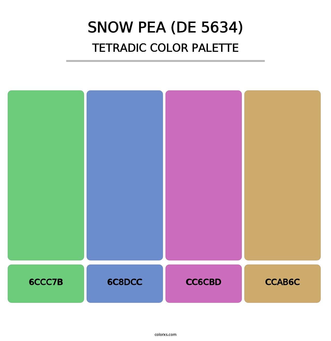 Snow Pea (DE 5634) - Tetradic Color Palette