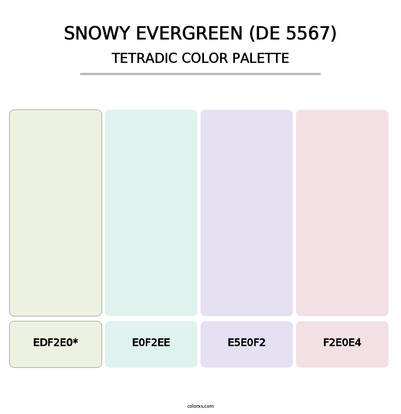 Snowy Evergreen (DE 5567) - Tetradic Color Palette