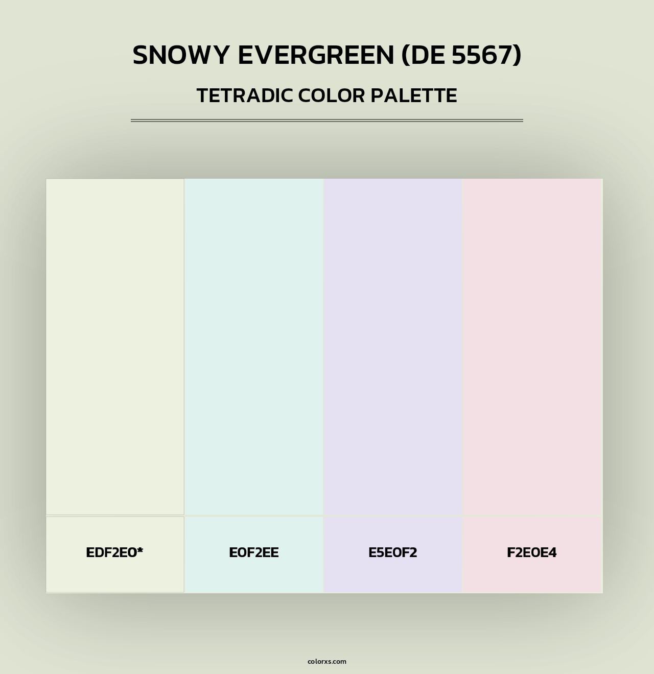 Snowy Evergreen (DE 5567) - Tetradic Color Palette