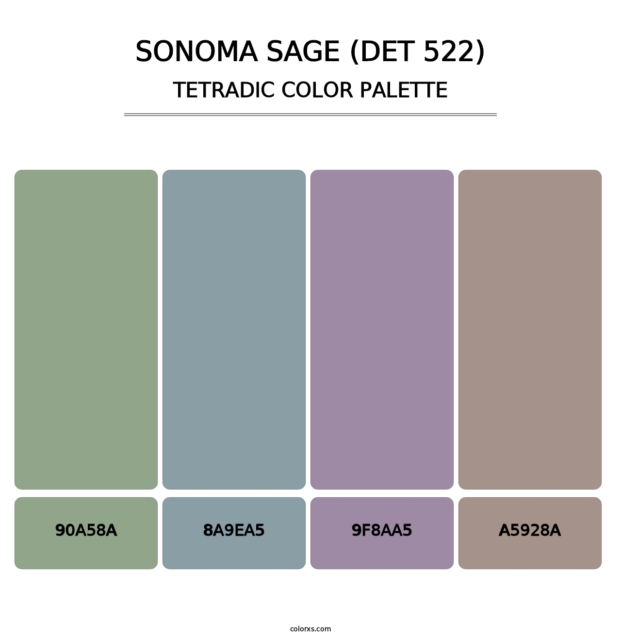 Sonoma Sage (DET 522) - Tetradic Color Palette