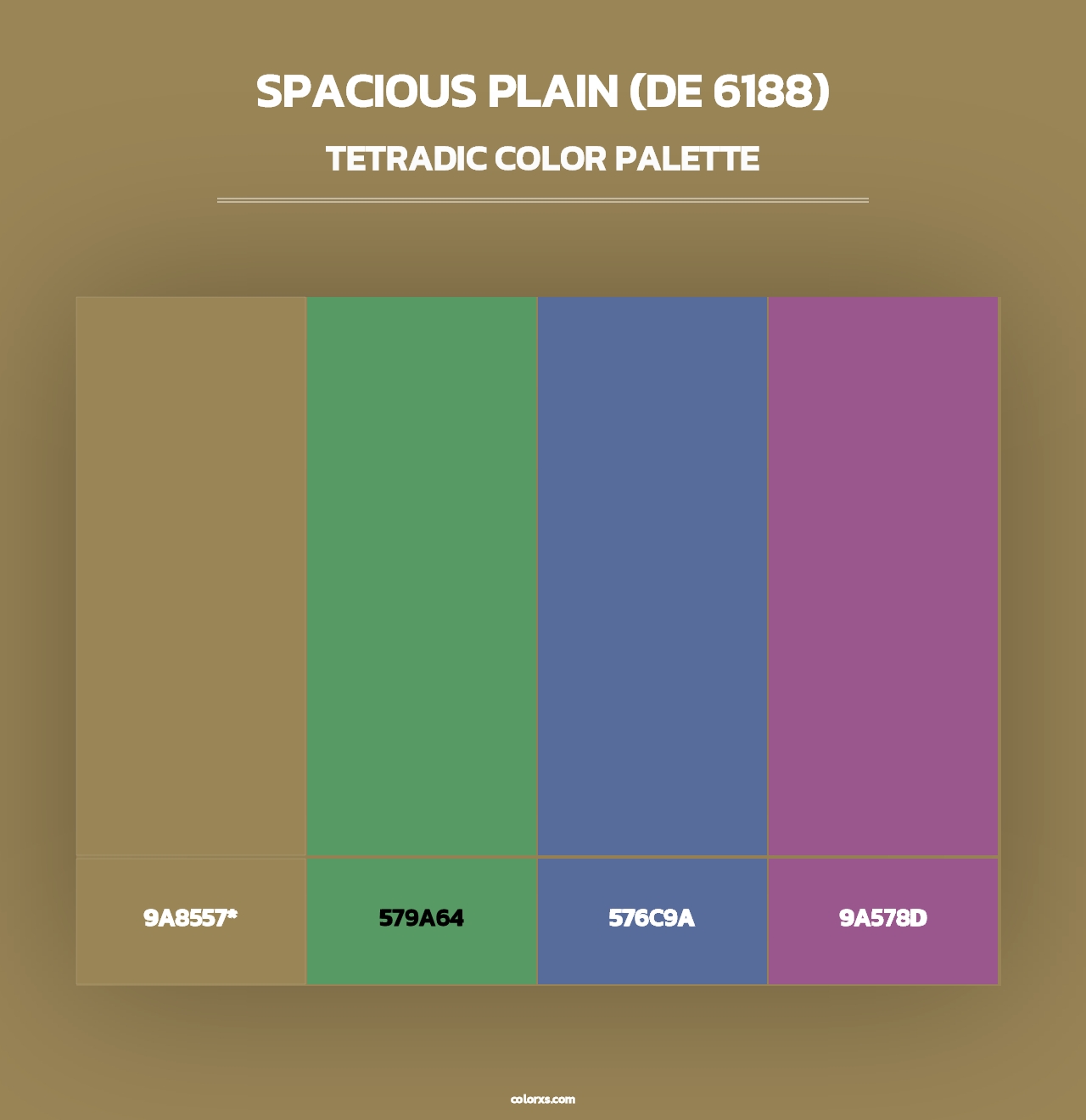 Spacious Plain (DE 6188) - Tetradic Color Palette