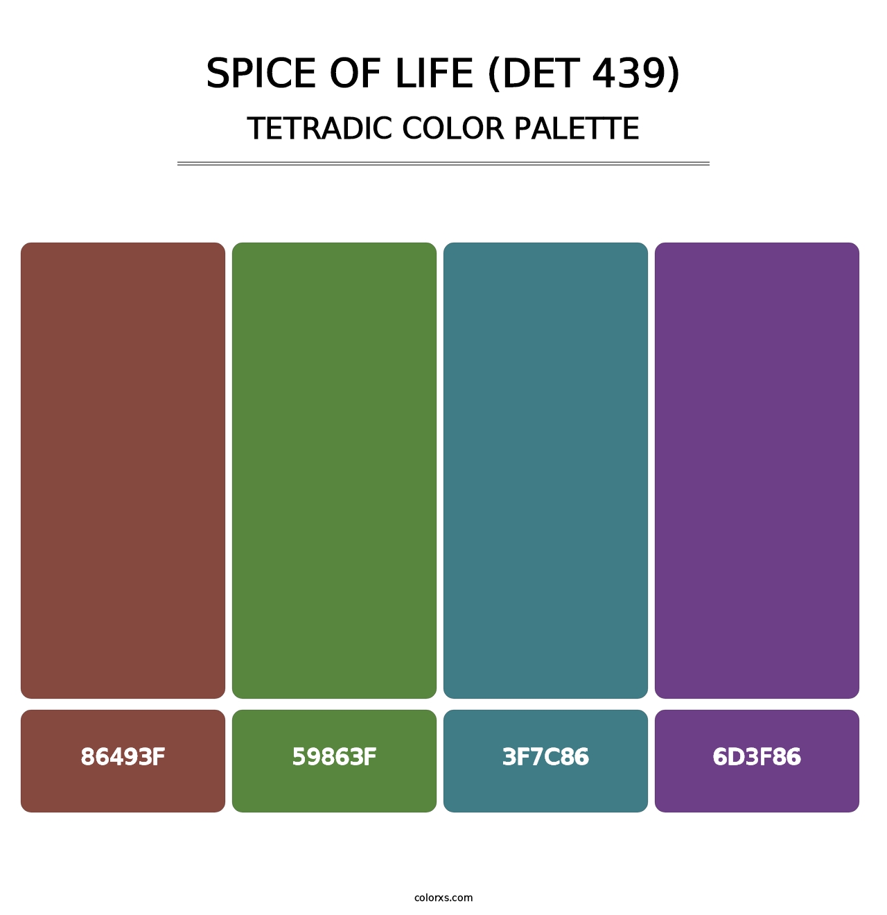 Spice of Life (DET 439) - Tetradic Color Palette
