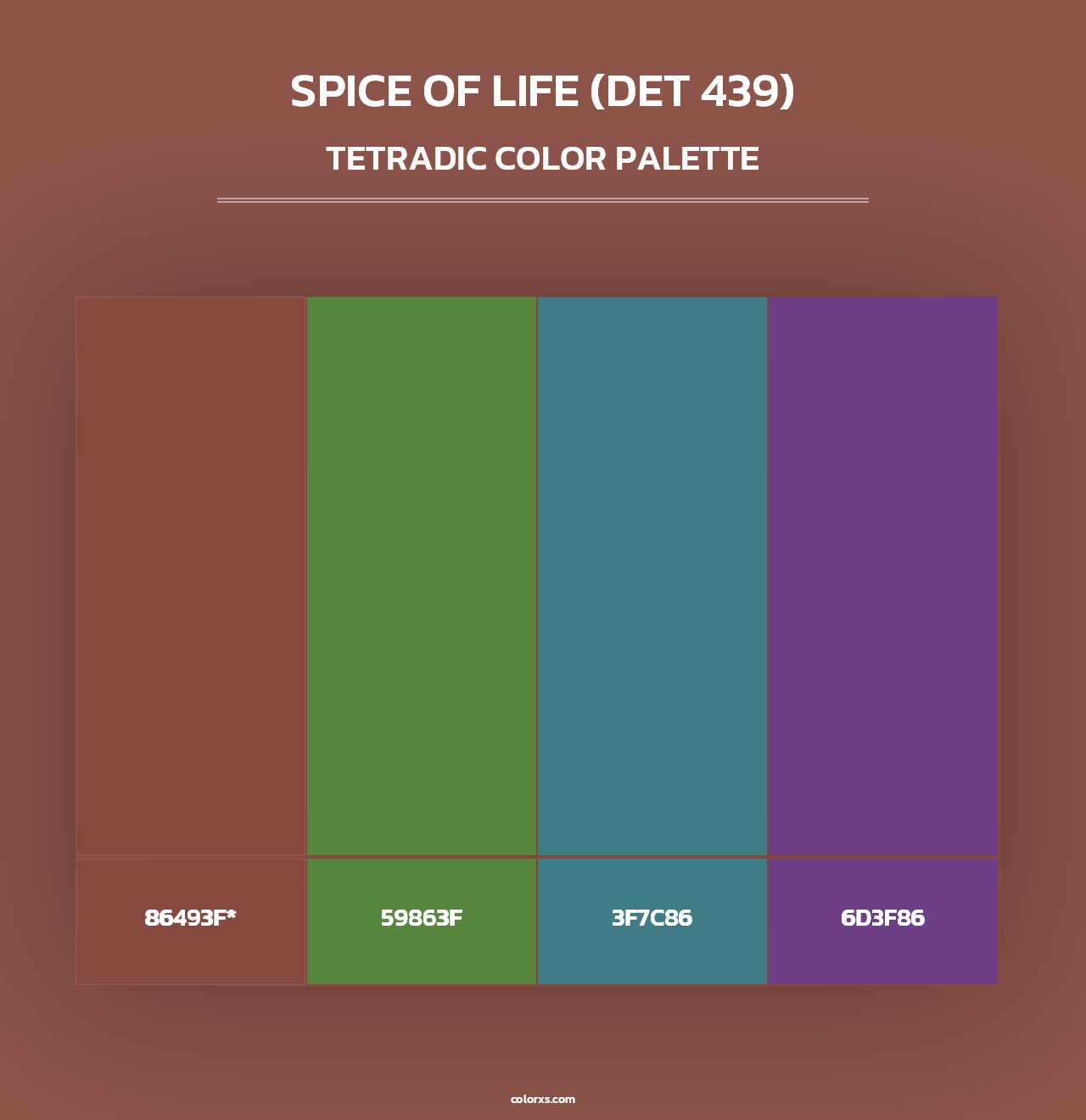 Spice of Life (DET 439) - Tetradic Color Palette