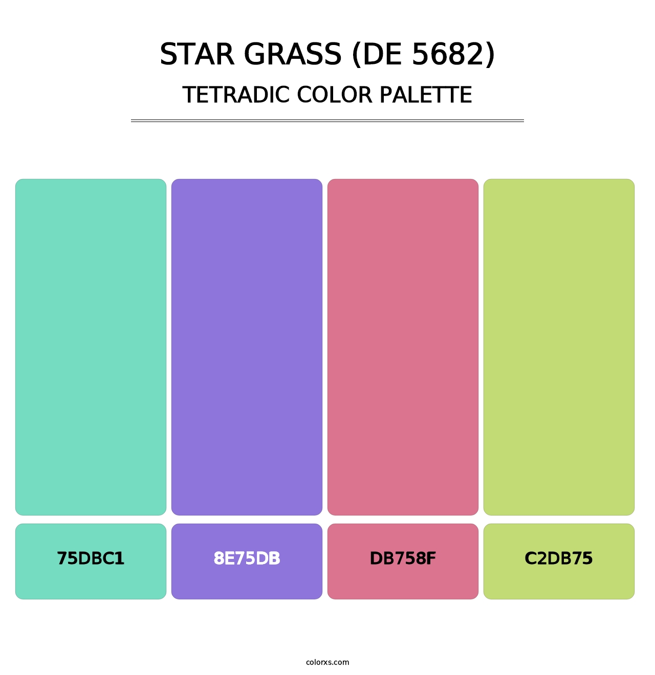 Star Grass (DE 5682) - Tetradic Color Palette