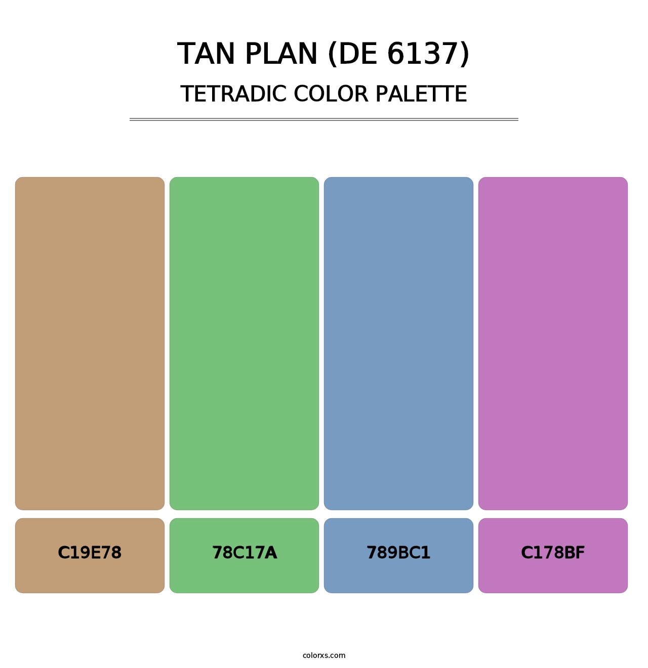 Tan Plan (DE 6137) - Tetradic Color Palette