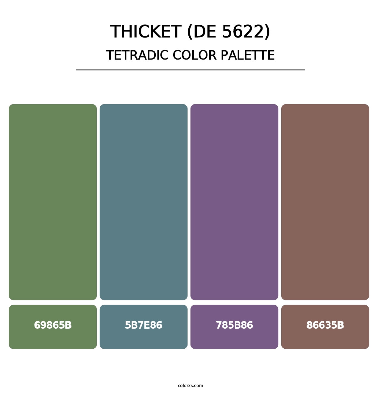 Thicket (DE 5622) - Tetradic Color Palette