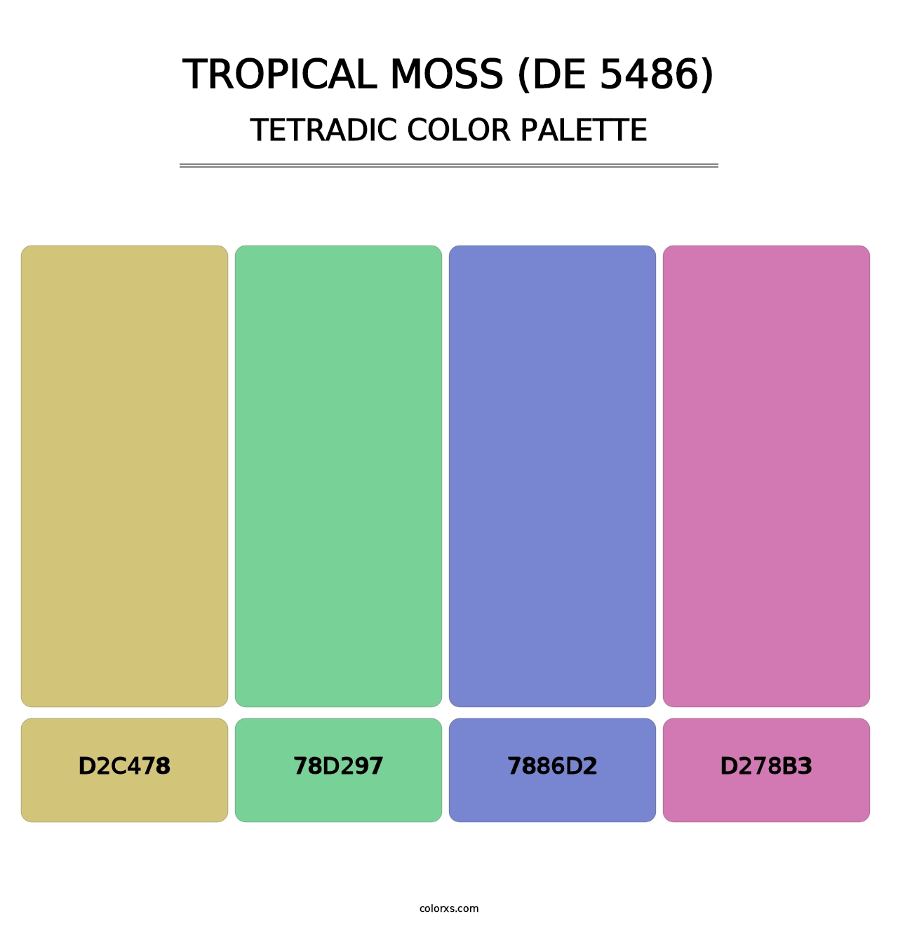 Tropical Moss (DE 5486) - Tetradic Color Palette