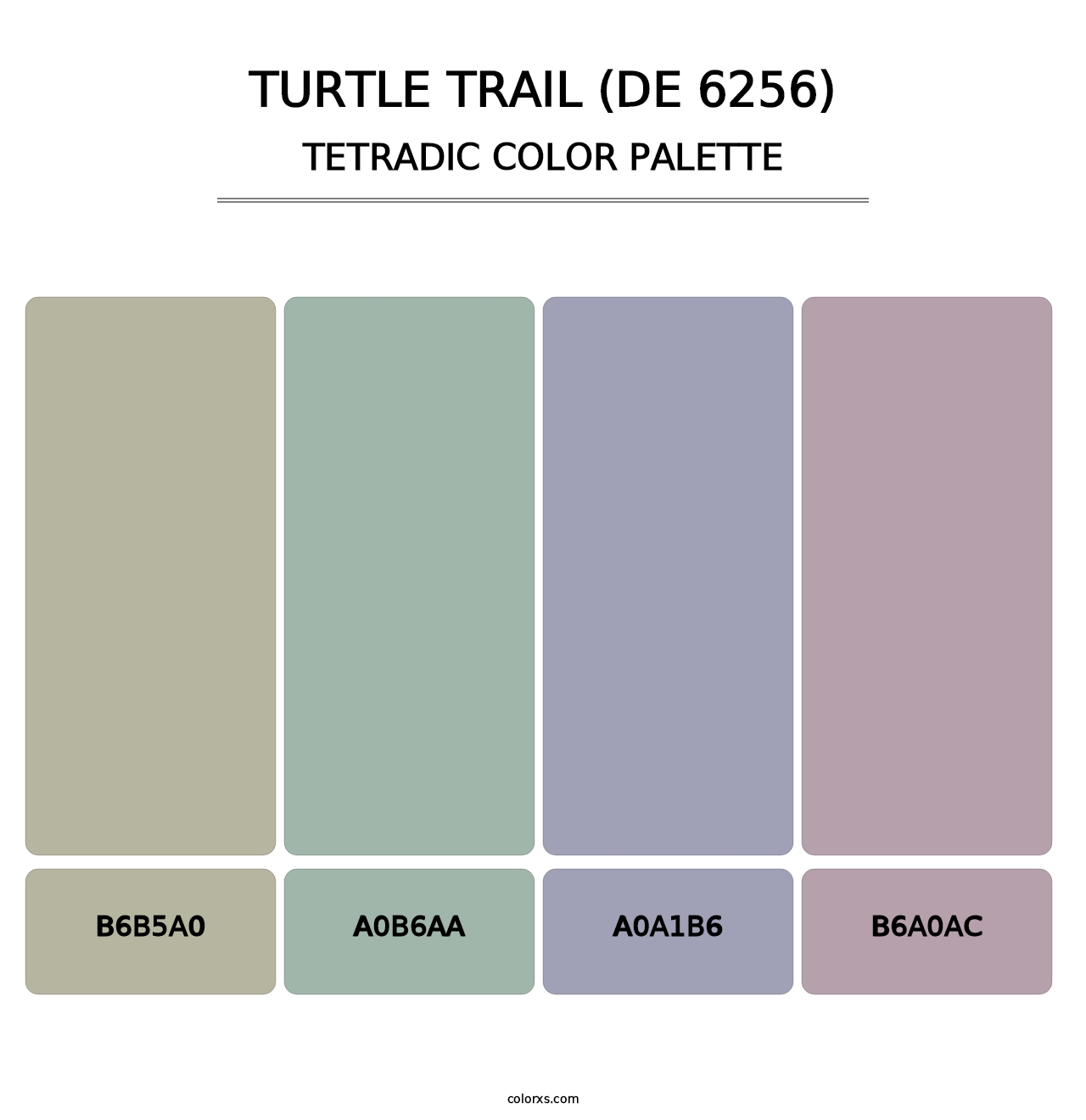 Turtle Trail (DE 6256) - Tetradic Color Palette