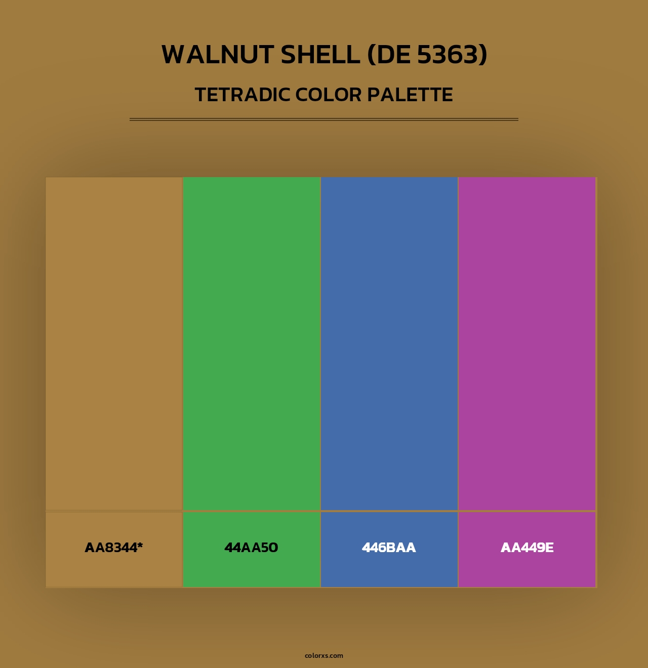 Walnut Shell (DE 5363) - Tetradic Color Palette