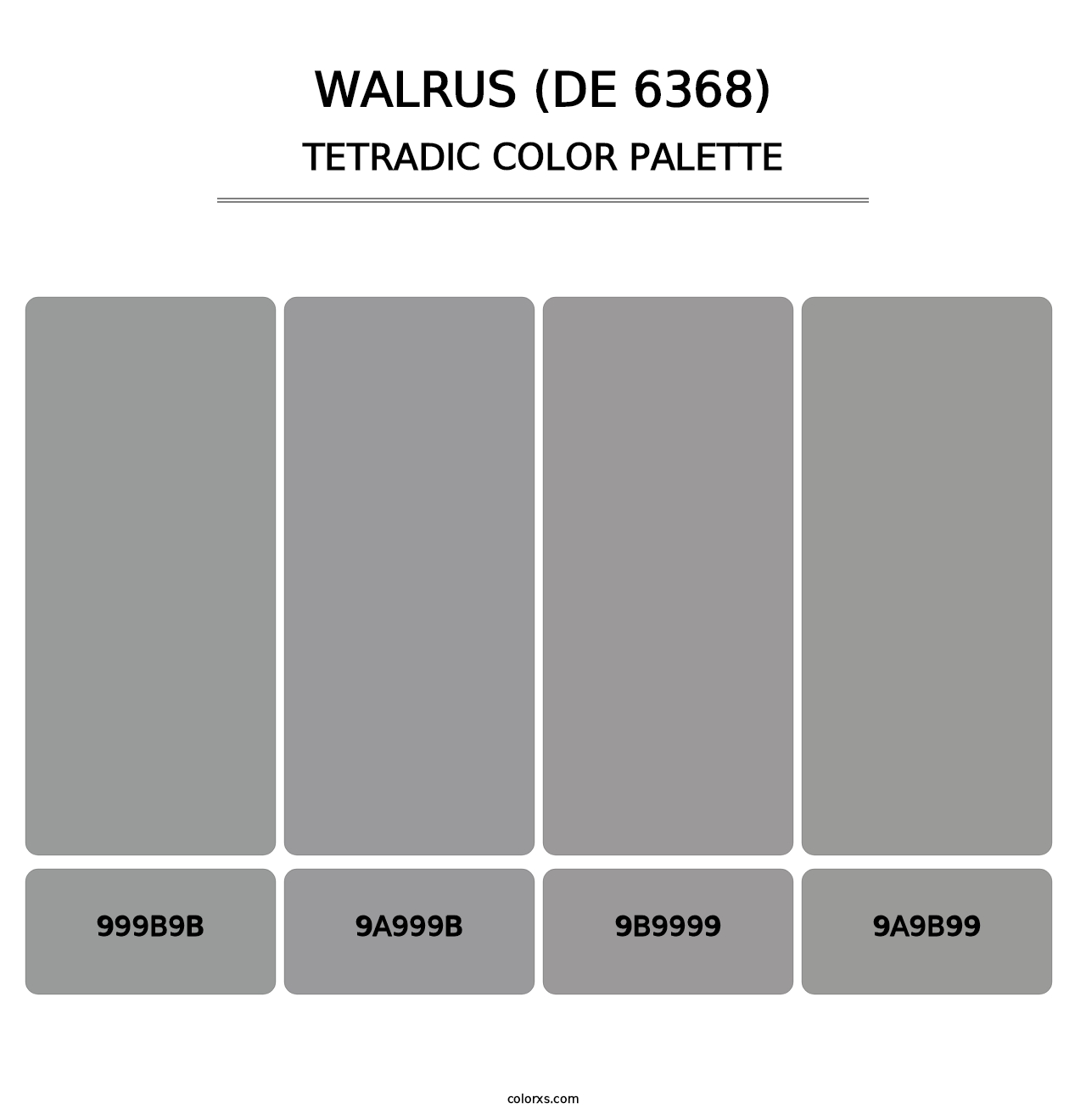 Walrus (DE 6368) - Tetradic Color Palette