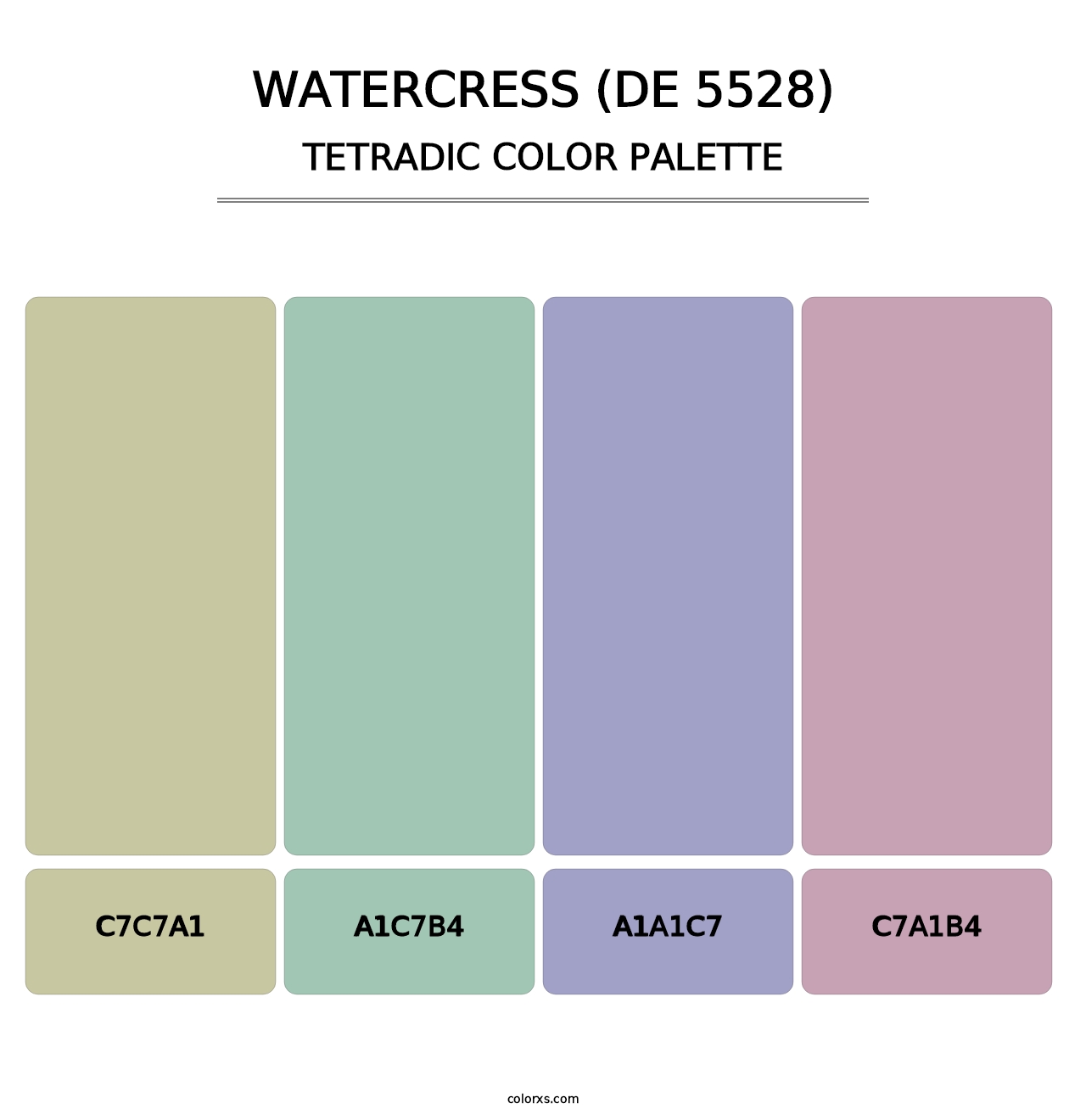 Watercress (DE 5528) - Tetradic Color Palette