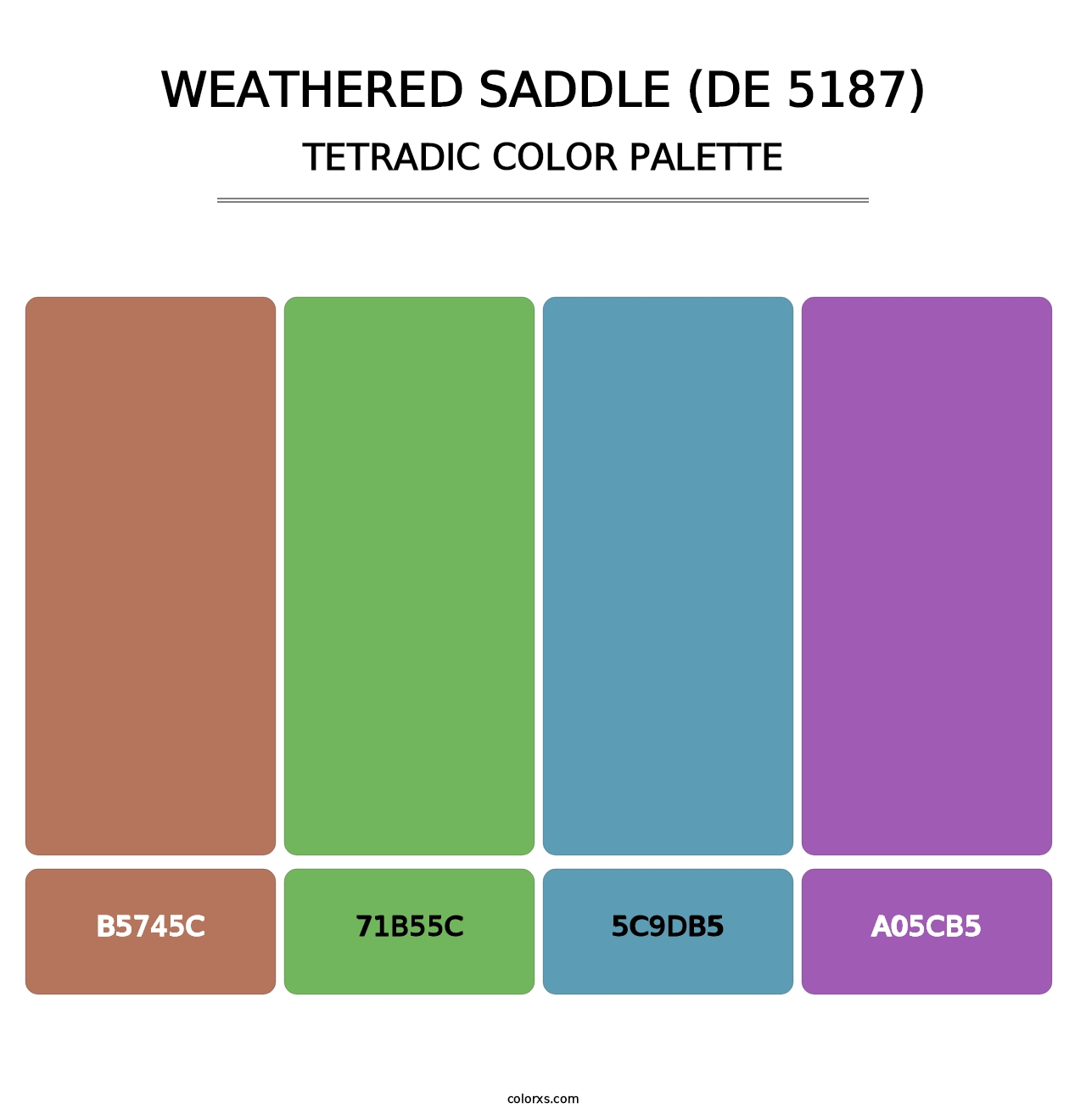 Weathered Saddle (DE 5187) - Tetradic Color Palette