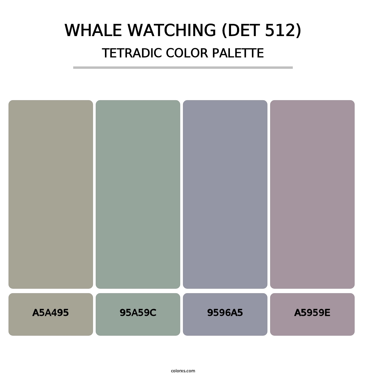 Whale Watching (DET 512) - Tetradic Color Palette