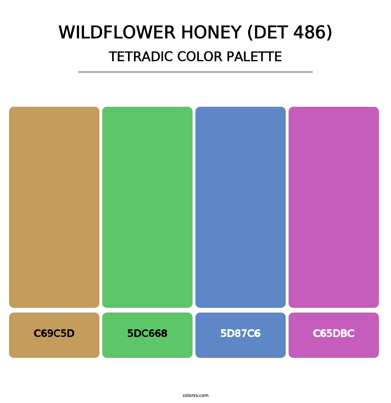 Wildflower Honey (DET 486) - Tetradic Color Palette
