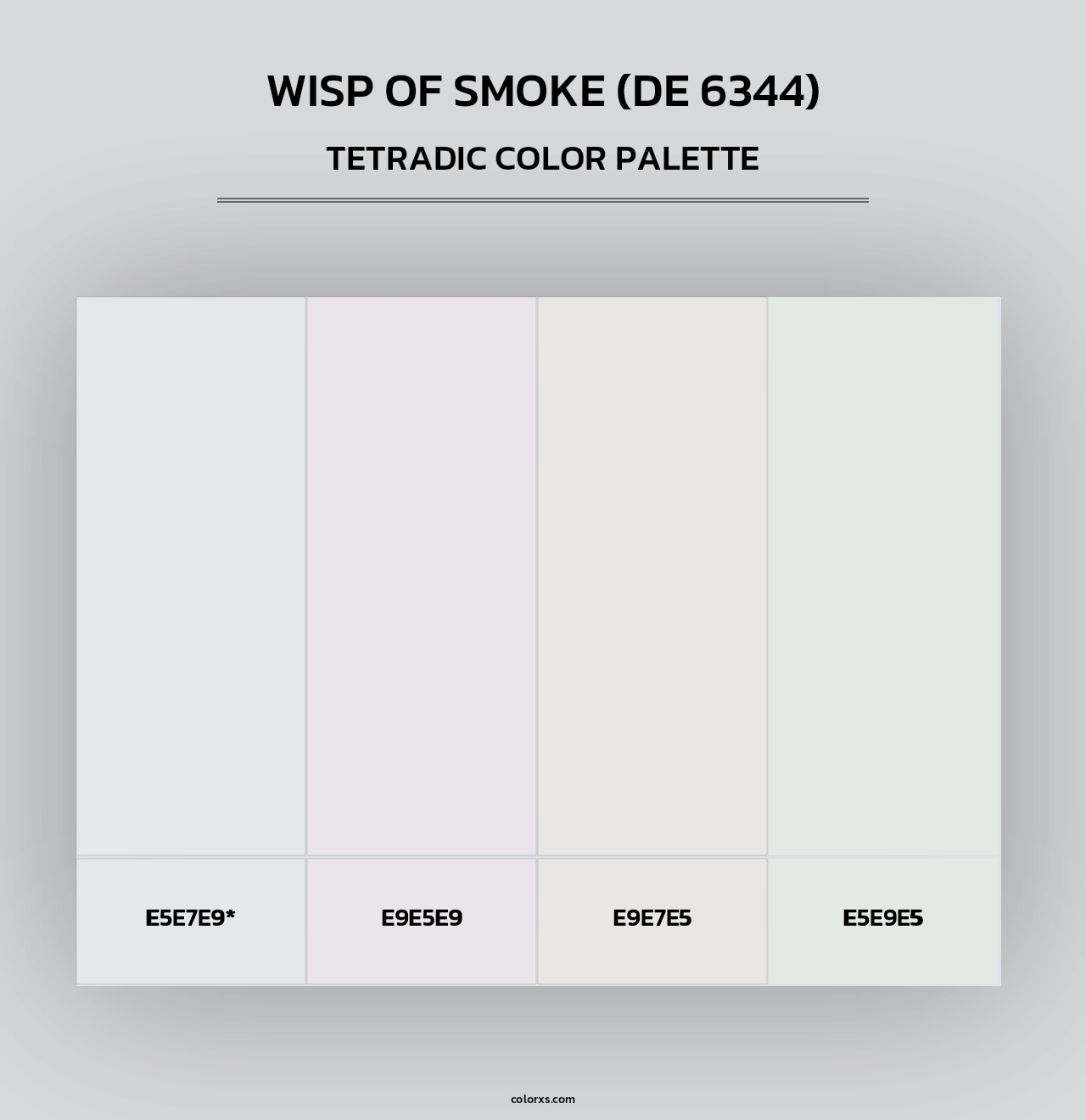 Wisp of Smoke (DE 6344) - Tetradic Color Palette