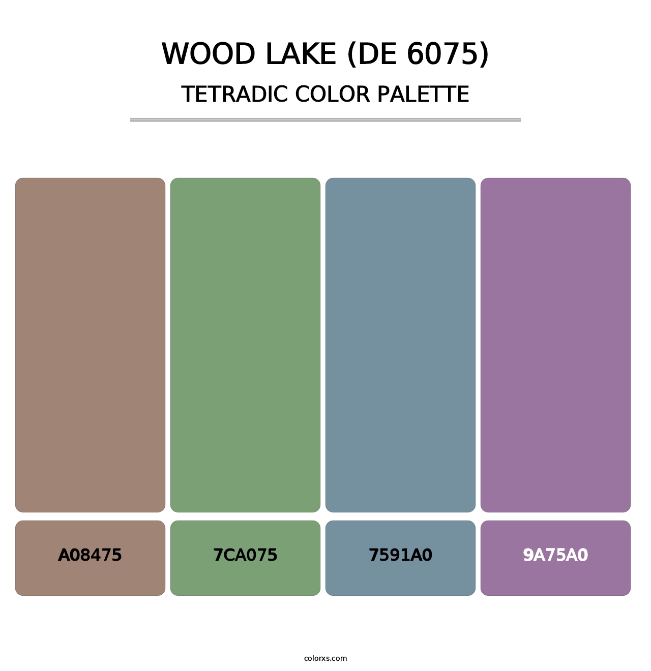 Wood Lake (DE 6075) - Tetradic Color Palette