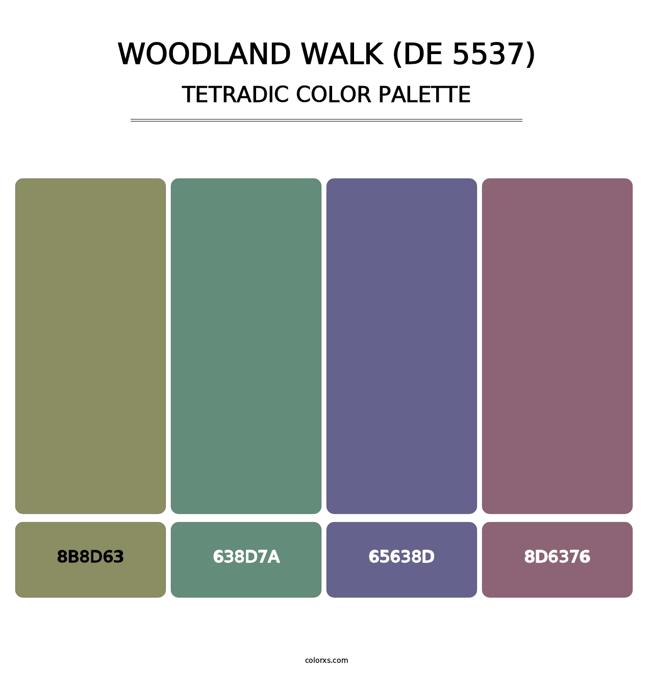 Woodland Walk (DE 5537) - Tetradic Color Palette