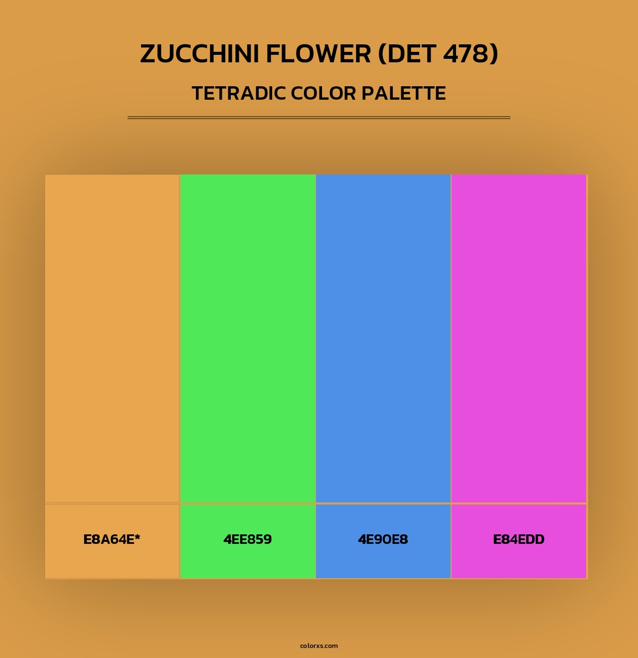 Zucchini Flower (DET 478) - Tetradic Color Palette