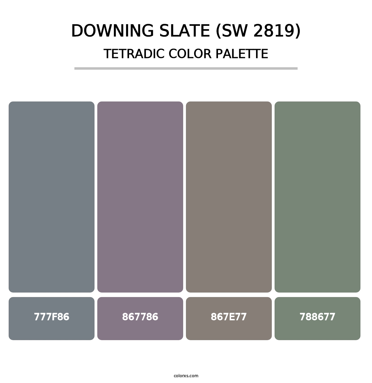 Downing Slate (SW 2819) - Tetradic Color Palette