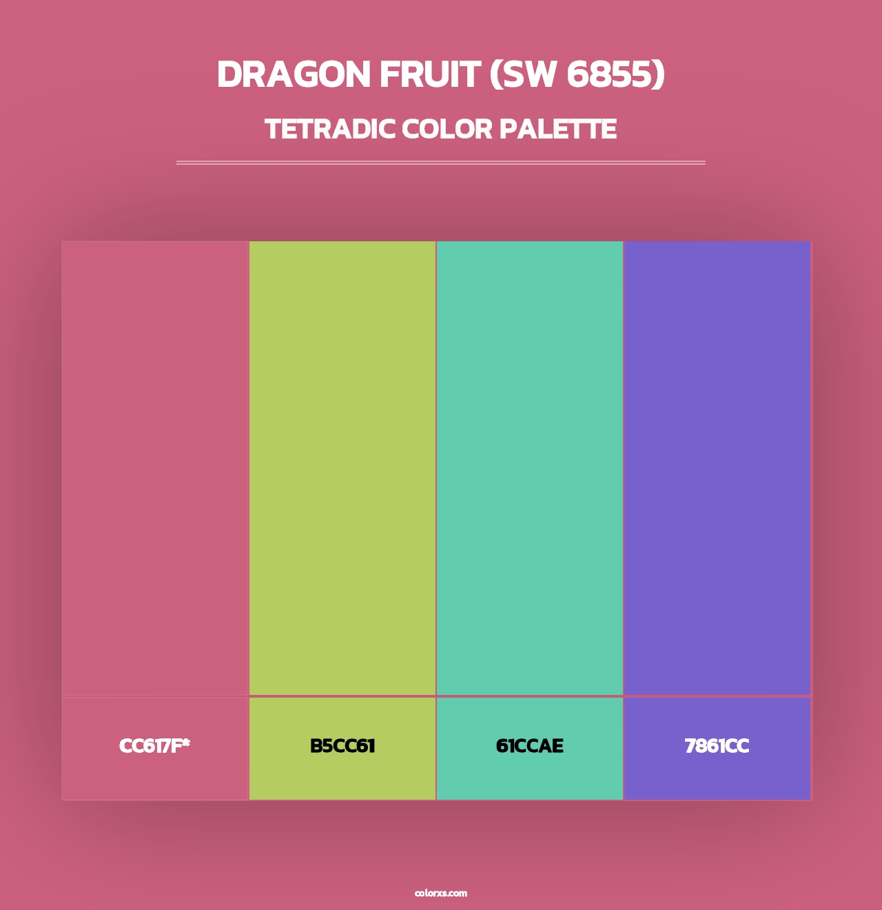 Dragon Fruit (SW 6855) - Tetradic Color Palette