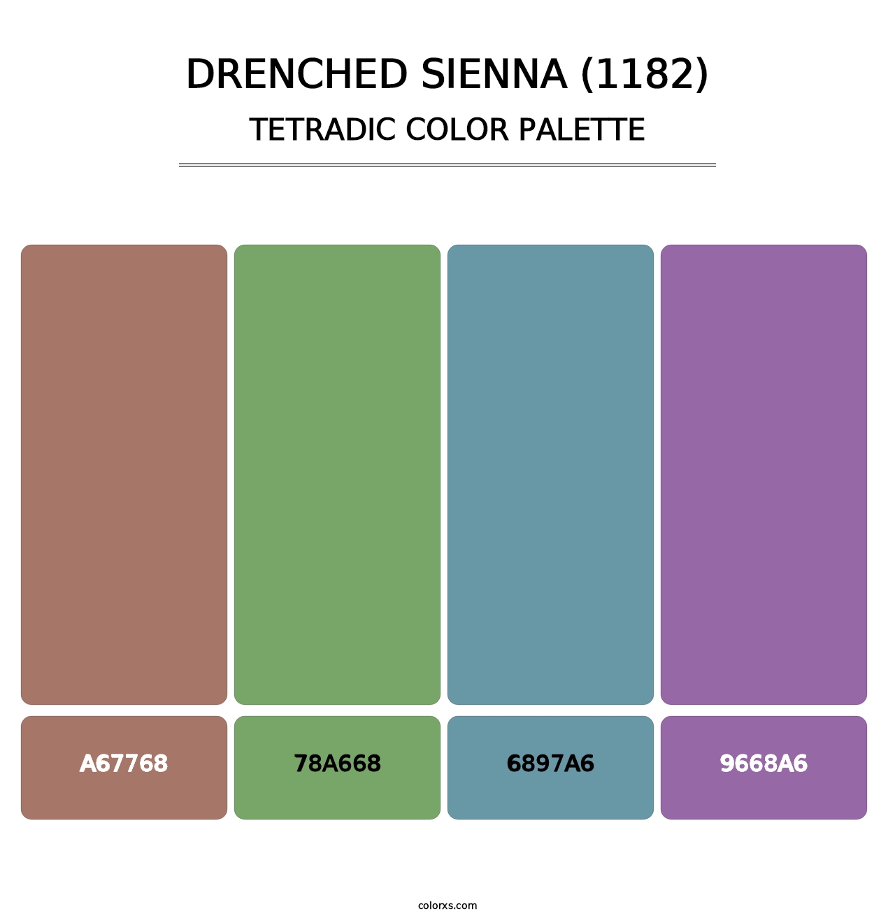 Drenched Sienna (1182) - Tetradic Color Palette